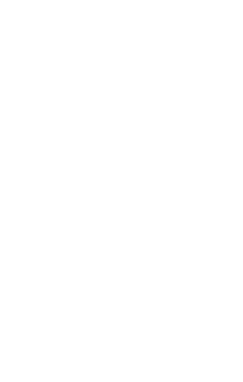 Brain Shoppe Logo
